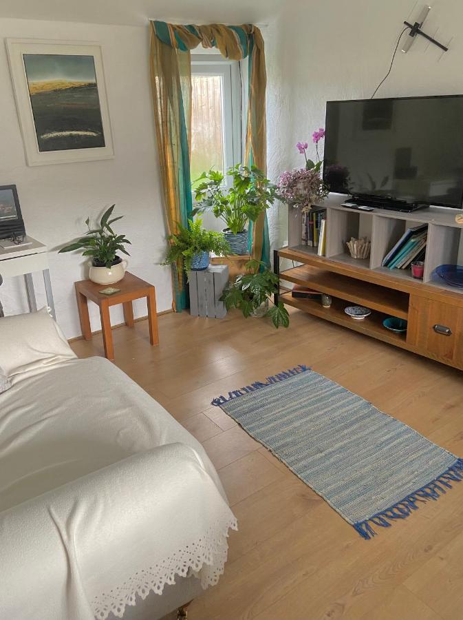 Idyllic Cornish Cottage, Superking Bed, Private Garden Dogs Welcome Truro Eksteriør billede