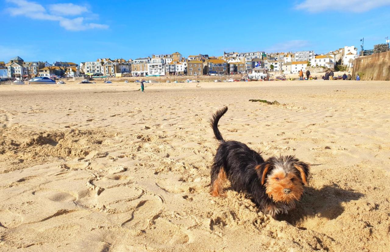 Idyllic Cornish Cottage, Superking Bed, Private Garden Dogs Welcome Truro Eksteriør billede