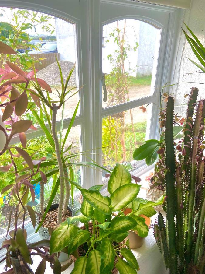 Idyllic Cornish Cottage, Superking Bed, Private Garden Dogs Welcome Truro Eksteriør billede
